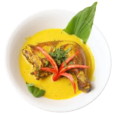 Sepotong Ayam Salai Masak Lemak dalam kuah kuning, dihias hirisan cili merah dan daun hijau